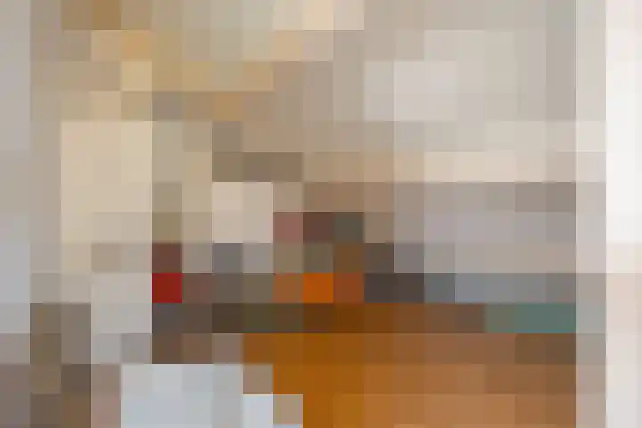 Wilhelminastraat 33 Vlijmen thumbnail 28