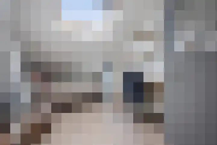 Wilhelminastraat 33 Vlijmen thumbnail 31