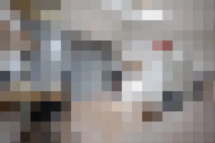 Wilhelminastraat 33 Vlijmen thumbnail 32