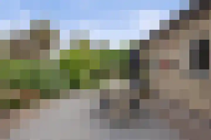 Wilhelminastraat 33 Vlijmen thumbnail 33