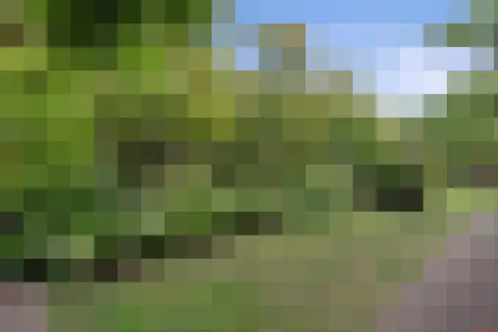 Wilhelminastraat 33 Vlijmen thumbnail 36
