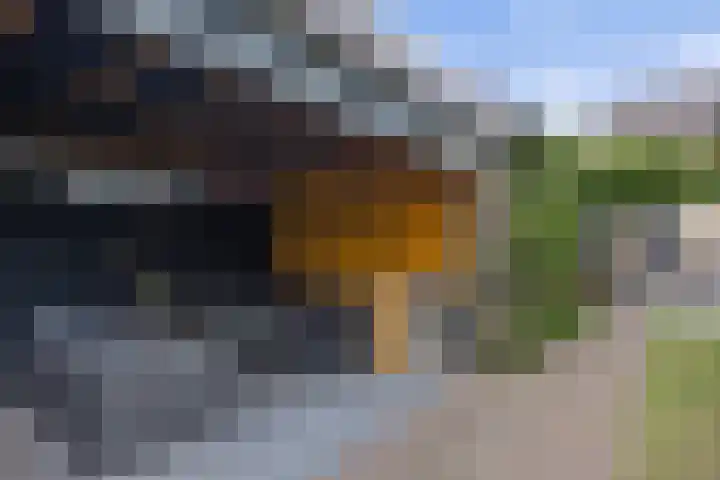 Wilhelminastraat 33 Vlijmen thumbnail 38