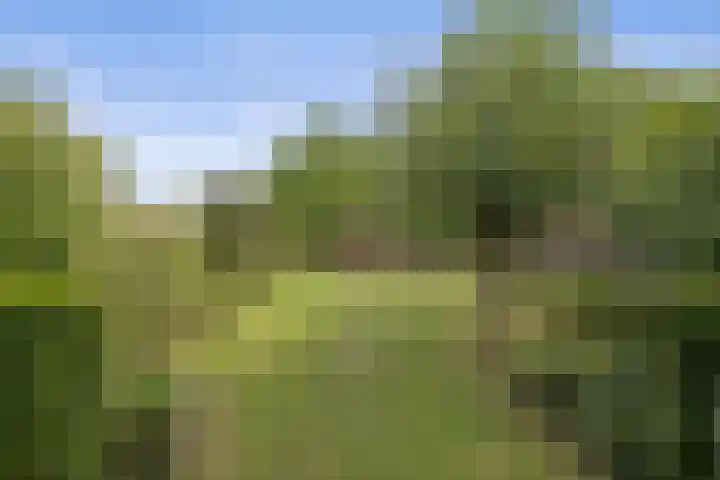 Wilhelminastraat 33 Vlijmen thumbnail 39
