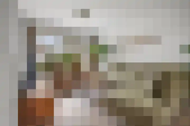 Wilhelminastraat 33 Vlijmen thumbnail 4