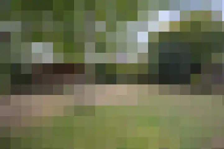 Wilhelminastraat 33 Vlijmen thumbnail 40