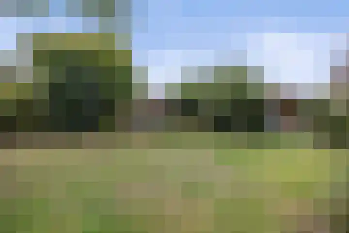 Wilhelminastraat 33 Vlijmen thumbnail 41