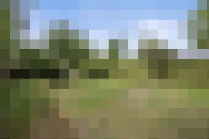 Wilhelminastraat 33 Vlijmen thumbnail 42