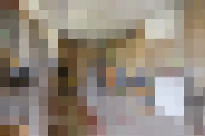 Wilhelminastraat 33 Vlijmen thumbnail 43