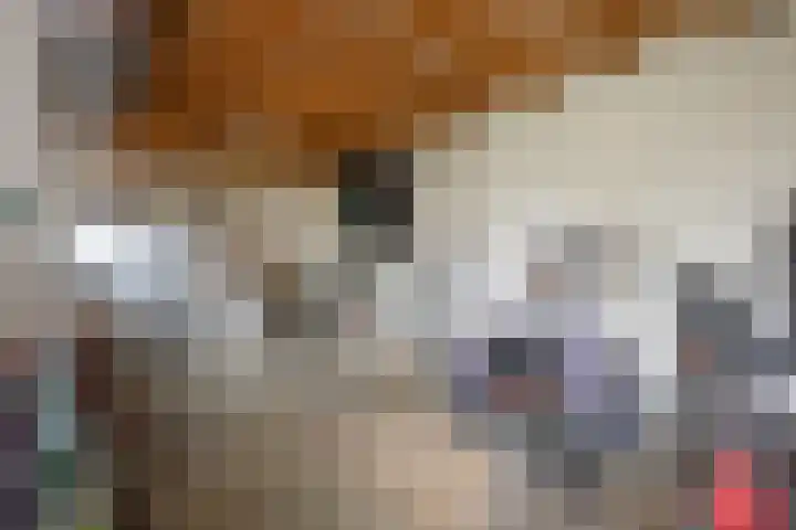Wilhelminastraat 33 Vlijmen thumbnail 44