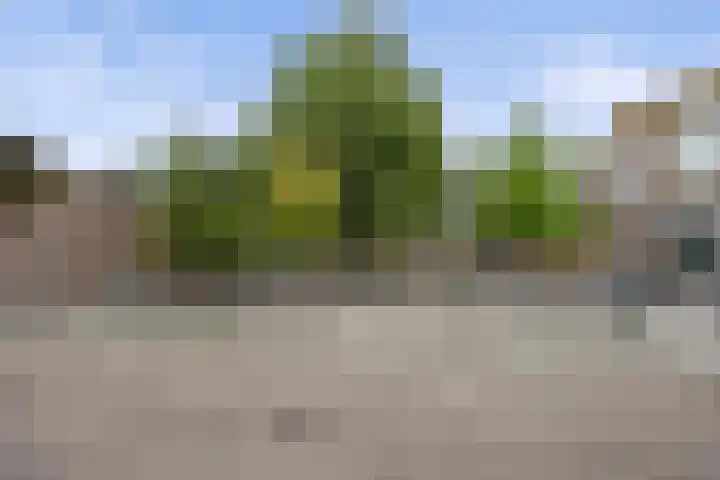 Wilhelminastraat 33 Vlijmen thumbnail 48