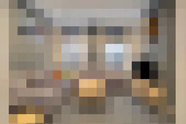Wilhelminastraat 34 Axel thumbnail 10