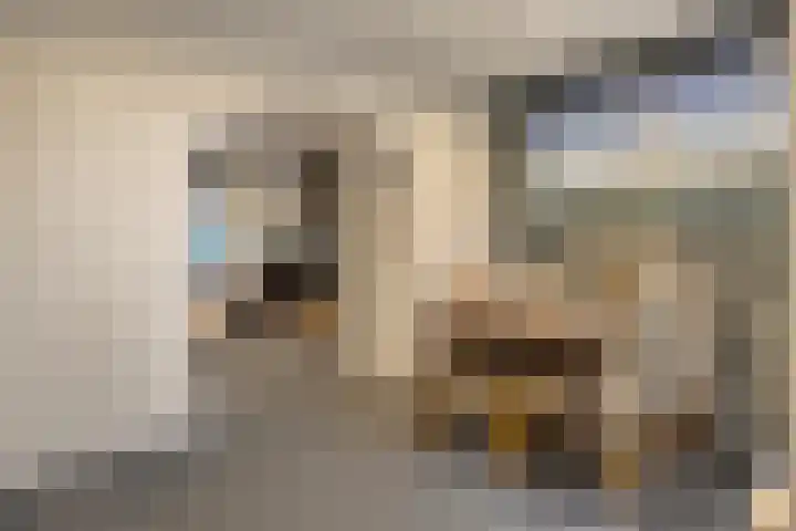 Wilhelminastraat 34 Axel thumbnail 13