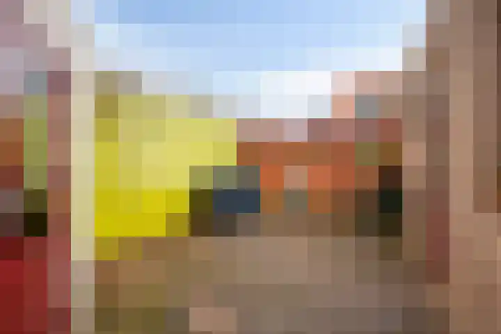 Wilhelminastraat 34 Axel thumbnail 23