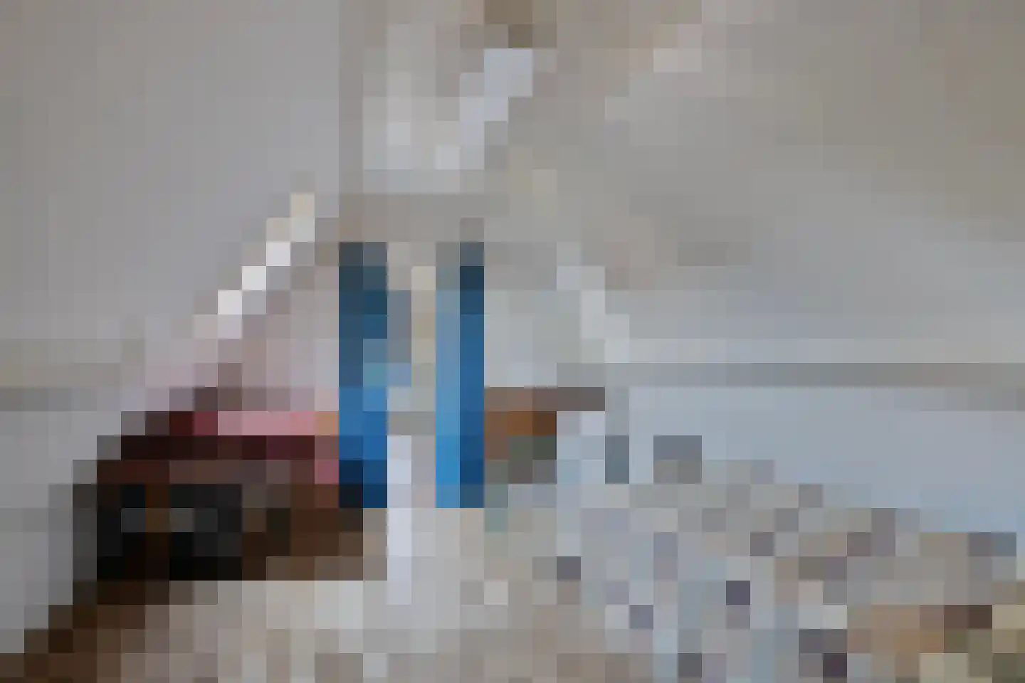 Wilhelminastraat 34 Boekel thumbnail 32