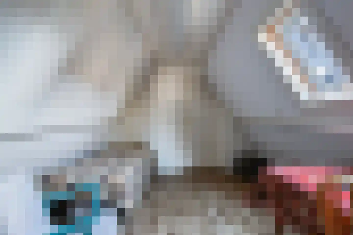 Wilhelminastraat 34 Boekel thumbnail 33
