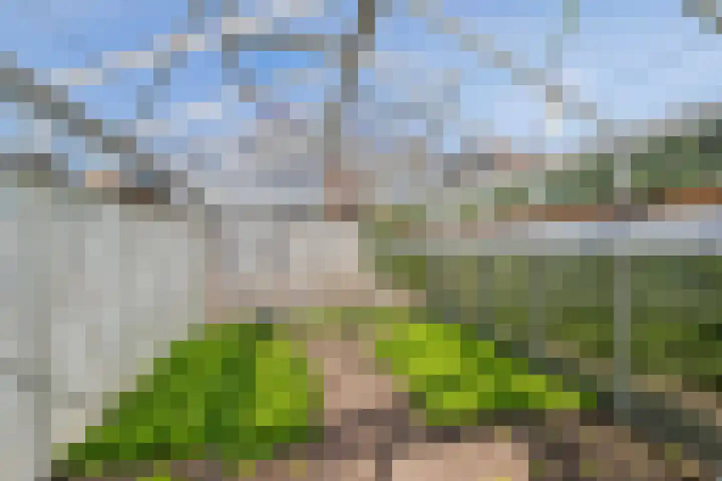 Wilhelminastraat 34 Boekel thumbnail 36