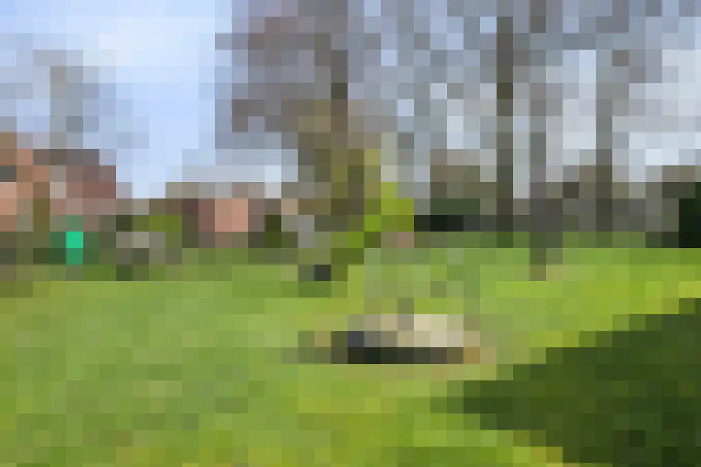 Wilhelminastraat 34 Boekel thumbnail 48