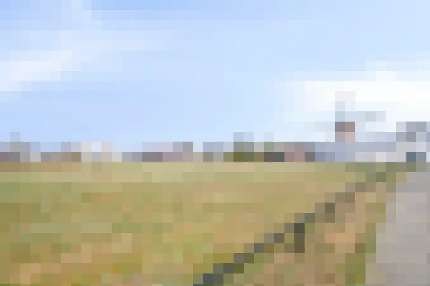 Wilhelminastraat 34 Boekel thumbnail 49