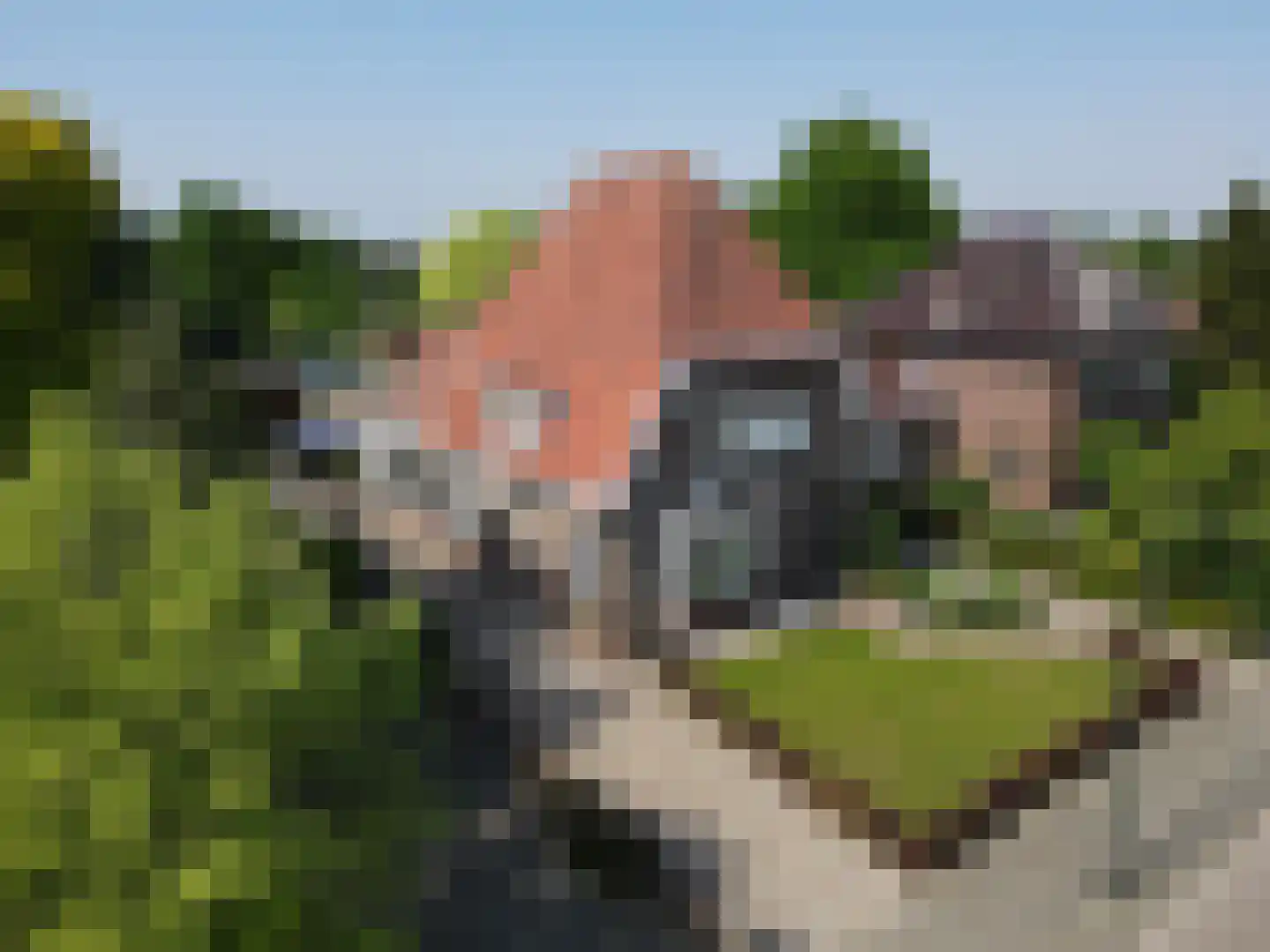 Wilhelminastraat 34 Boekel thumbnail 52