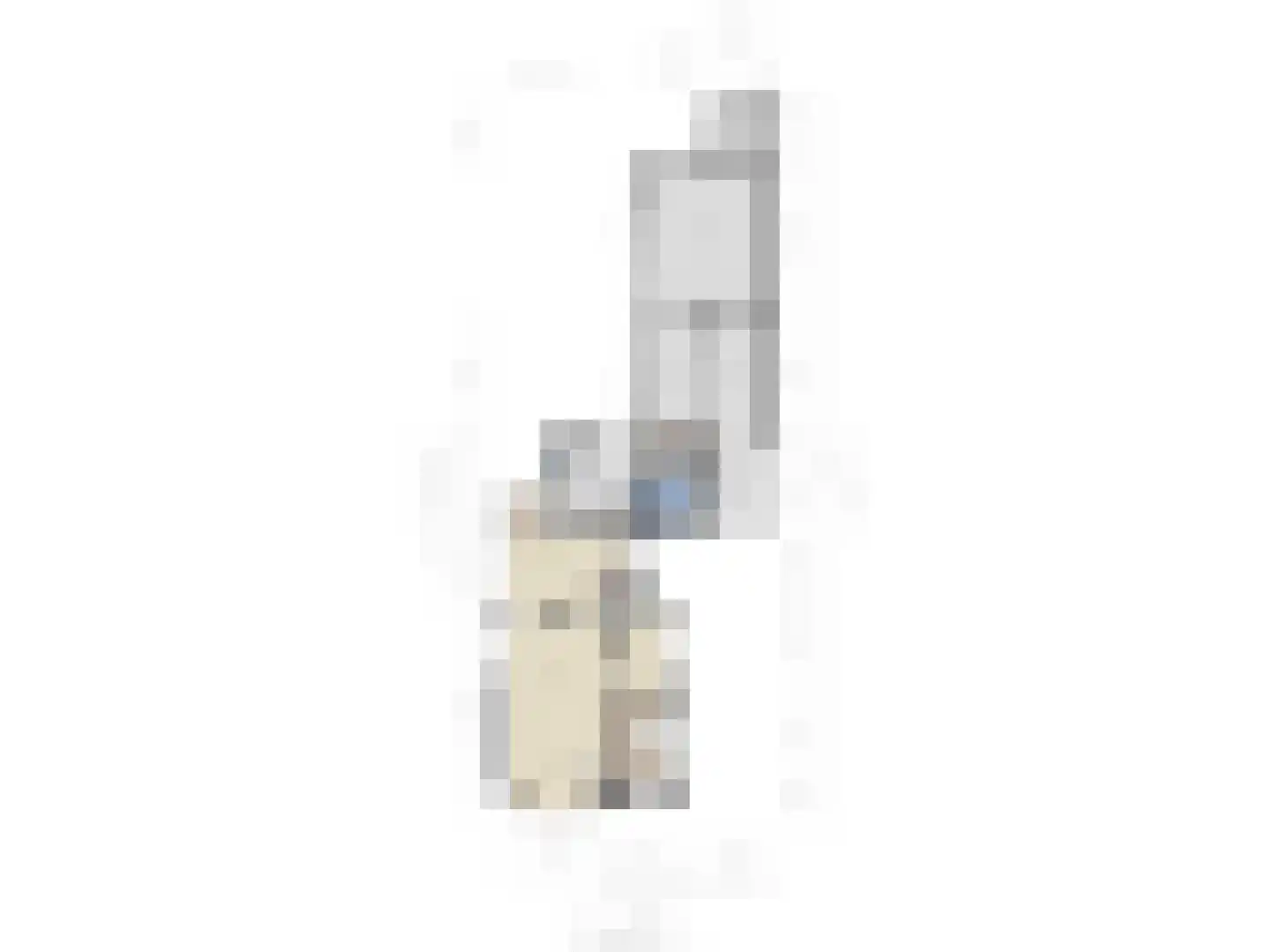 Wilhelminastraat 34 Boekel thumbnail 53