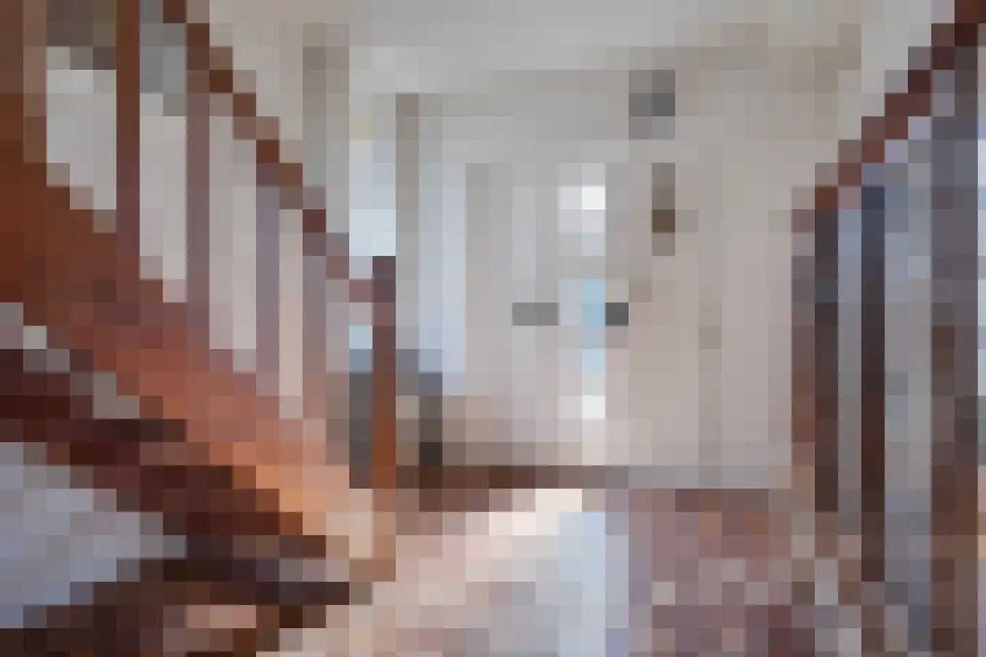 Wilhelminastraat 34 Boekel thumbnail 7