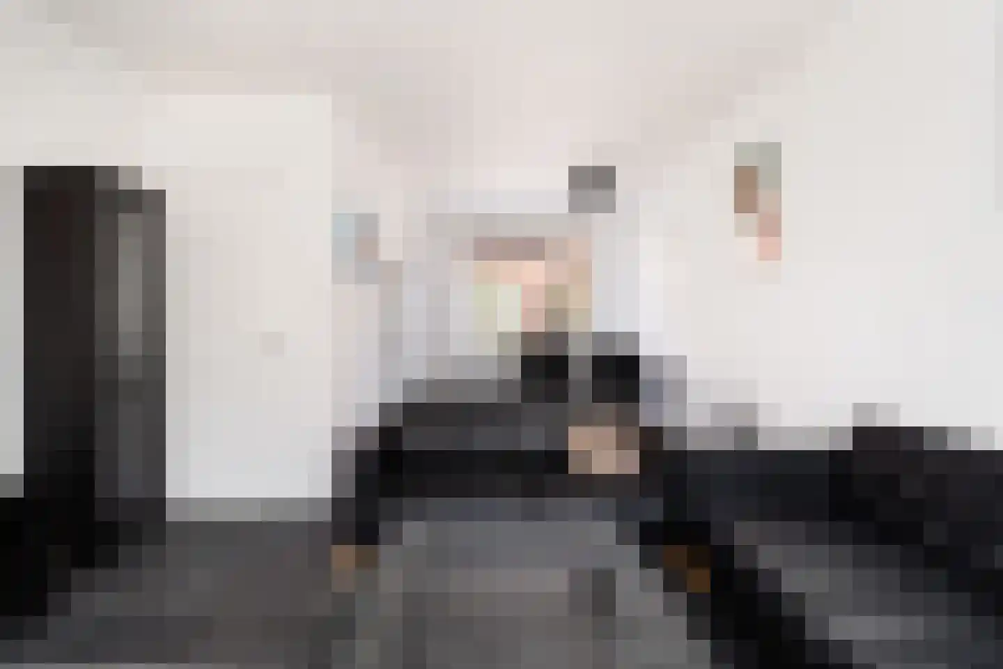 Wilhelminastraat 34 Capelle aan den IJssel thumbnail 13