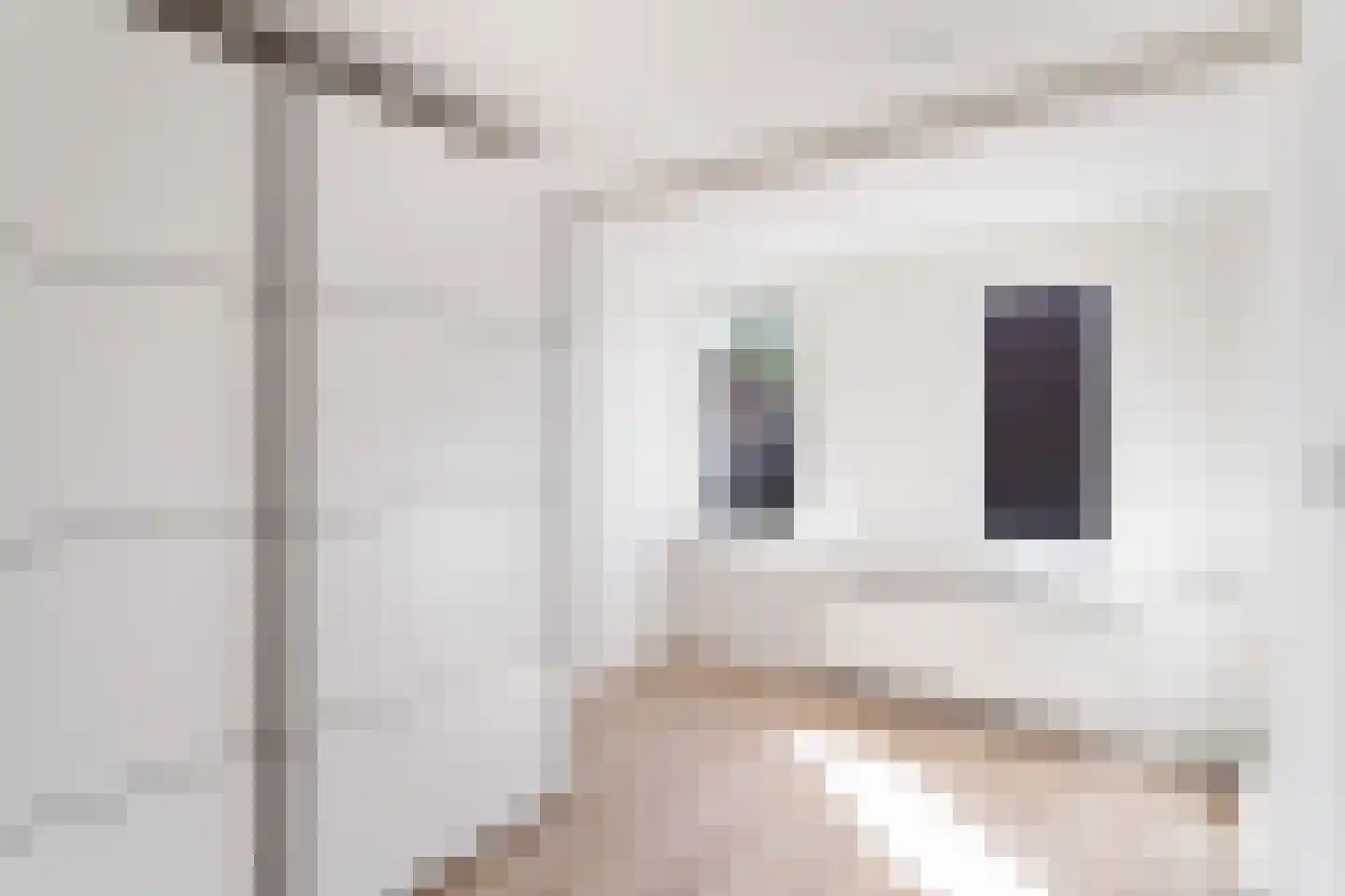 Wilhelminastraat 34 Capelle aan den IJssel thumbnail 27