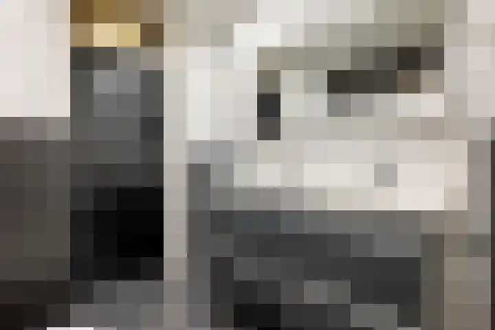 Wilhelminastraat 35 Sappemeer thumbnail 18