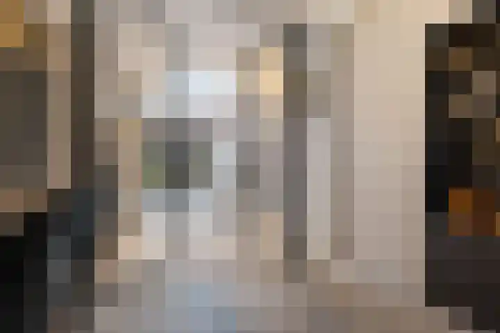 Wilhelminastraat 35 Sappemeer thumbnail 19