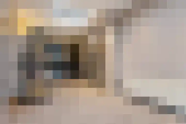 Wilhelminastraat 35 Sappemeer thumbnail 21