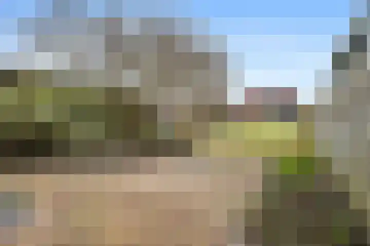 Wilhelminastraat 35 Sappemeer thumbnail 25