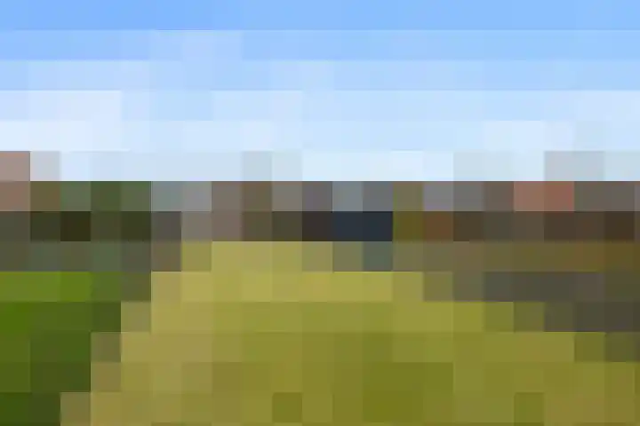 Wilhelminastraat 35 Sappemeer thumbnail 26