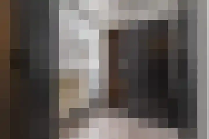 Wilhelminastraat 35 Sappemeer thumbnail 34