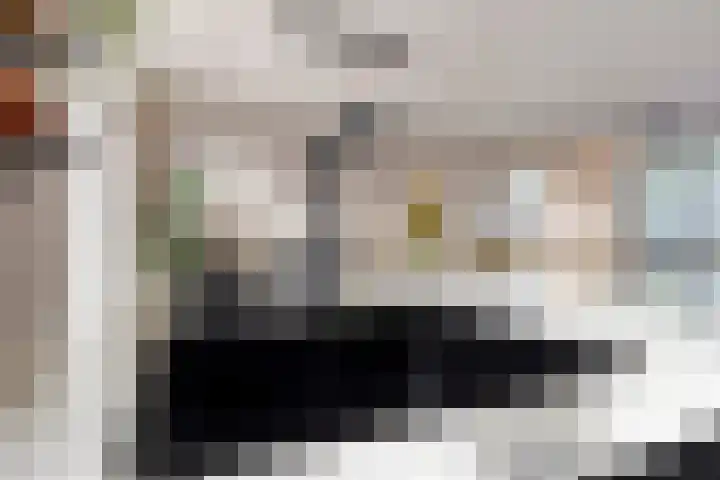 Wilhelminastraat 35 Zuidland thumbnail 12