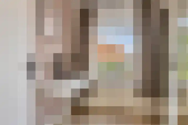 Wilhelminastraat 35 Zuidland thumbnail 23
