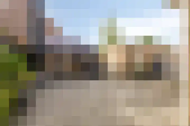 Wilhelminastraat 35 Zuidland thumbnail 25