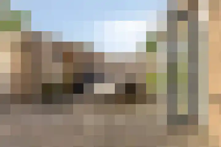 Wilhelminastraat 35 Zuidland thumbnail 27
