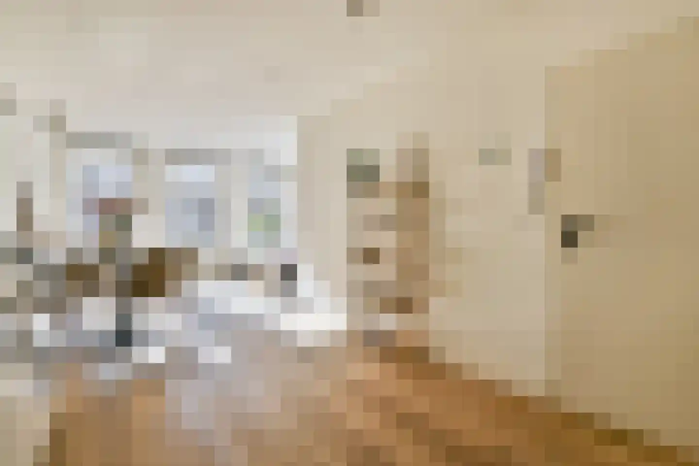 Wilhelminastraat 36 1 Amsterdam thumbnail 13