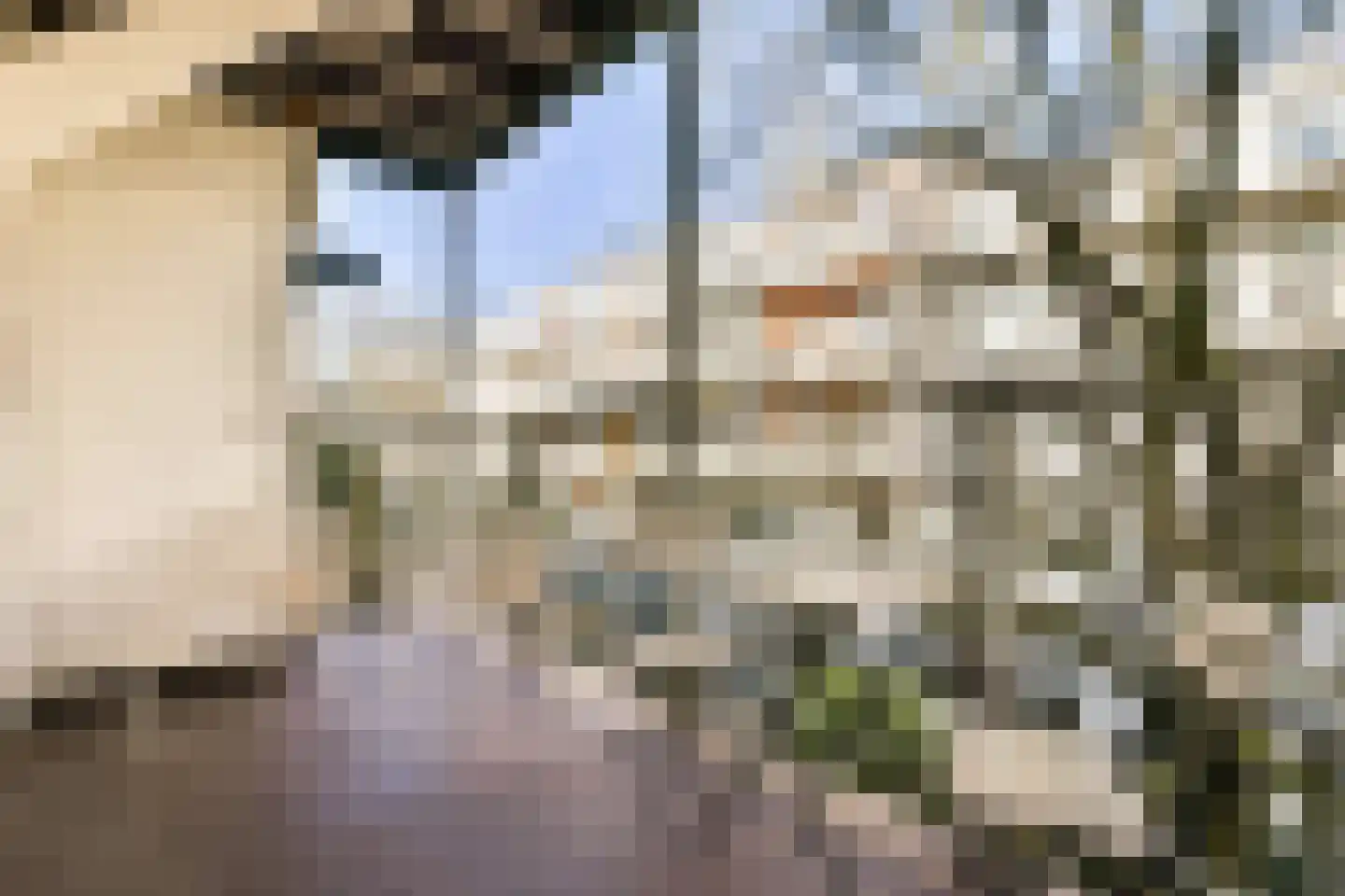 Wilhelminastraat 36 H Amsterdam thumbnail 20