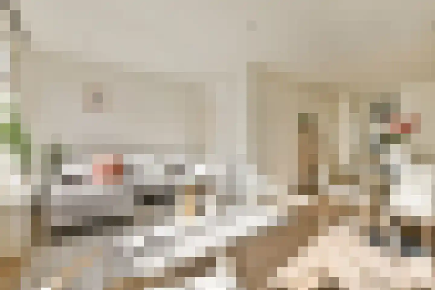Wilhelminastraat 36 H Amsterdam thumbnail 8