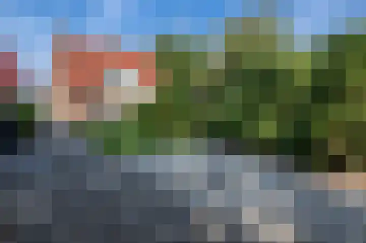 Wilhelminastraat 36 Oude-Tonge thumbnail 4