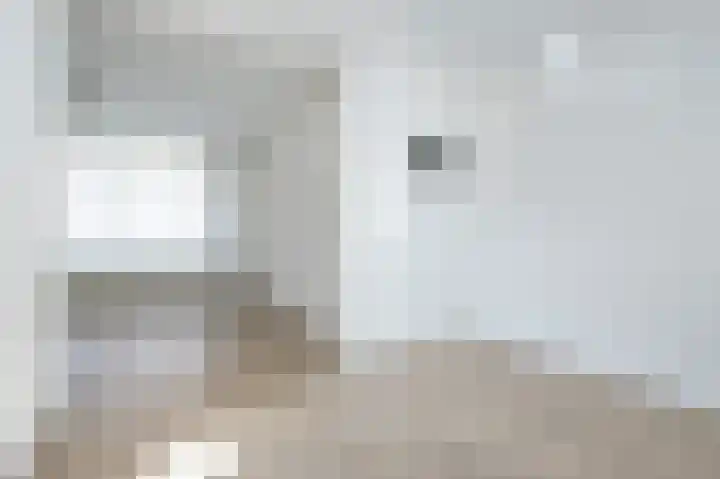 Wilhelminastraat 36 Oude-Tonge thumbnail 8