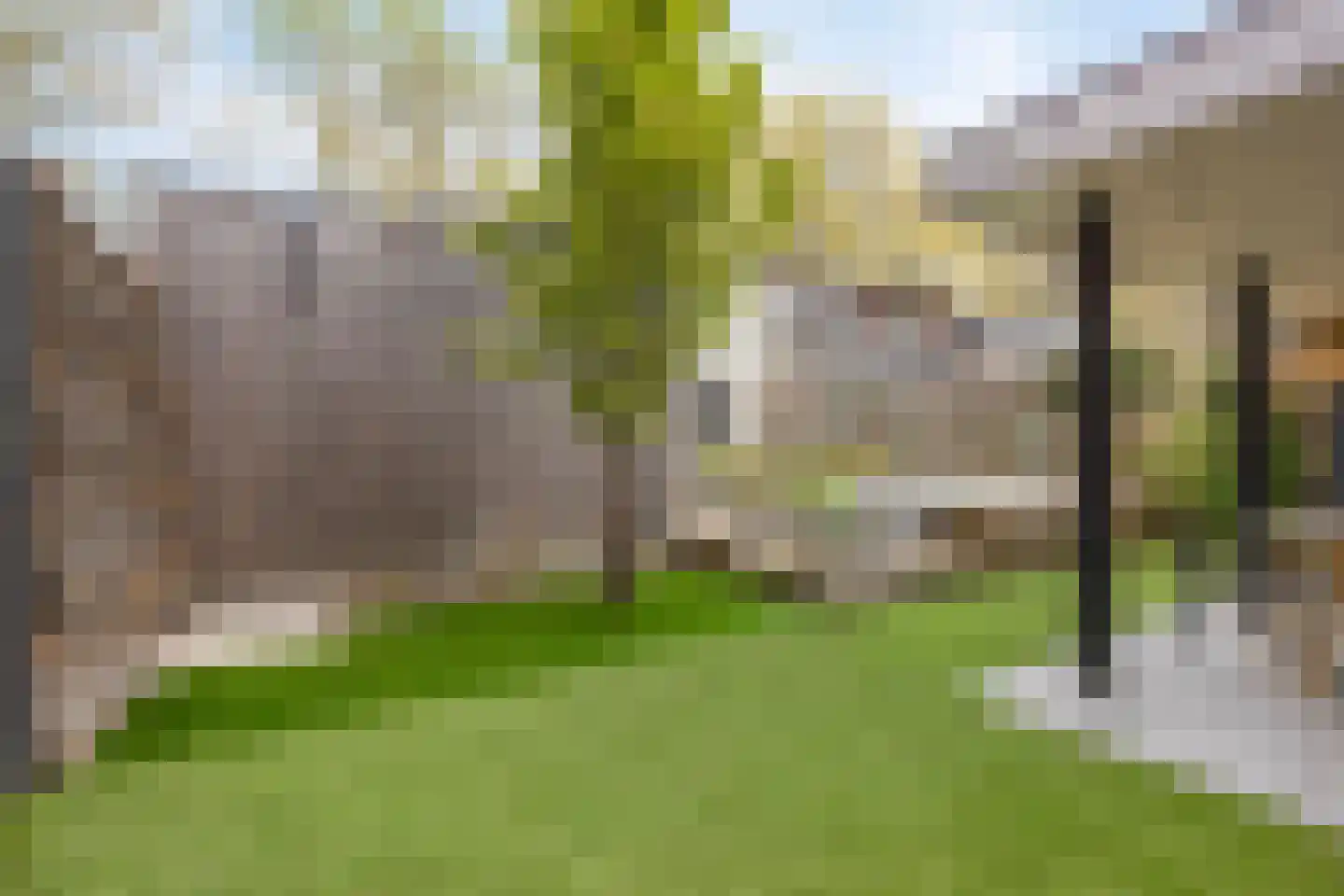 Wilhelminastraat 36 Rosmalen thumbnail 19