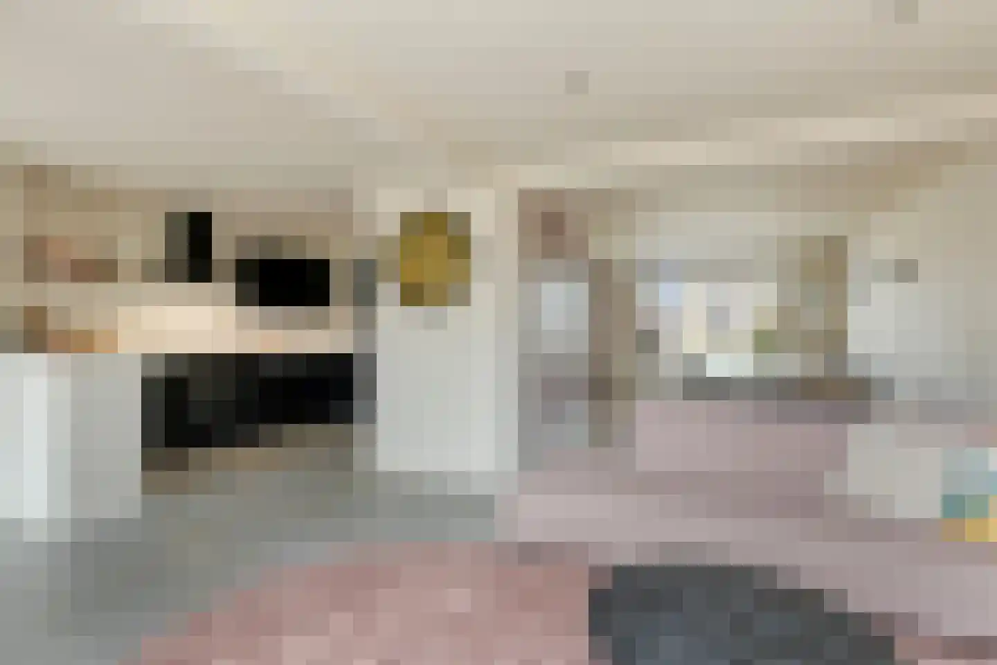 Wilhelminastraat 36 Rosmalen thumbnail 5