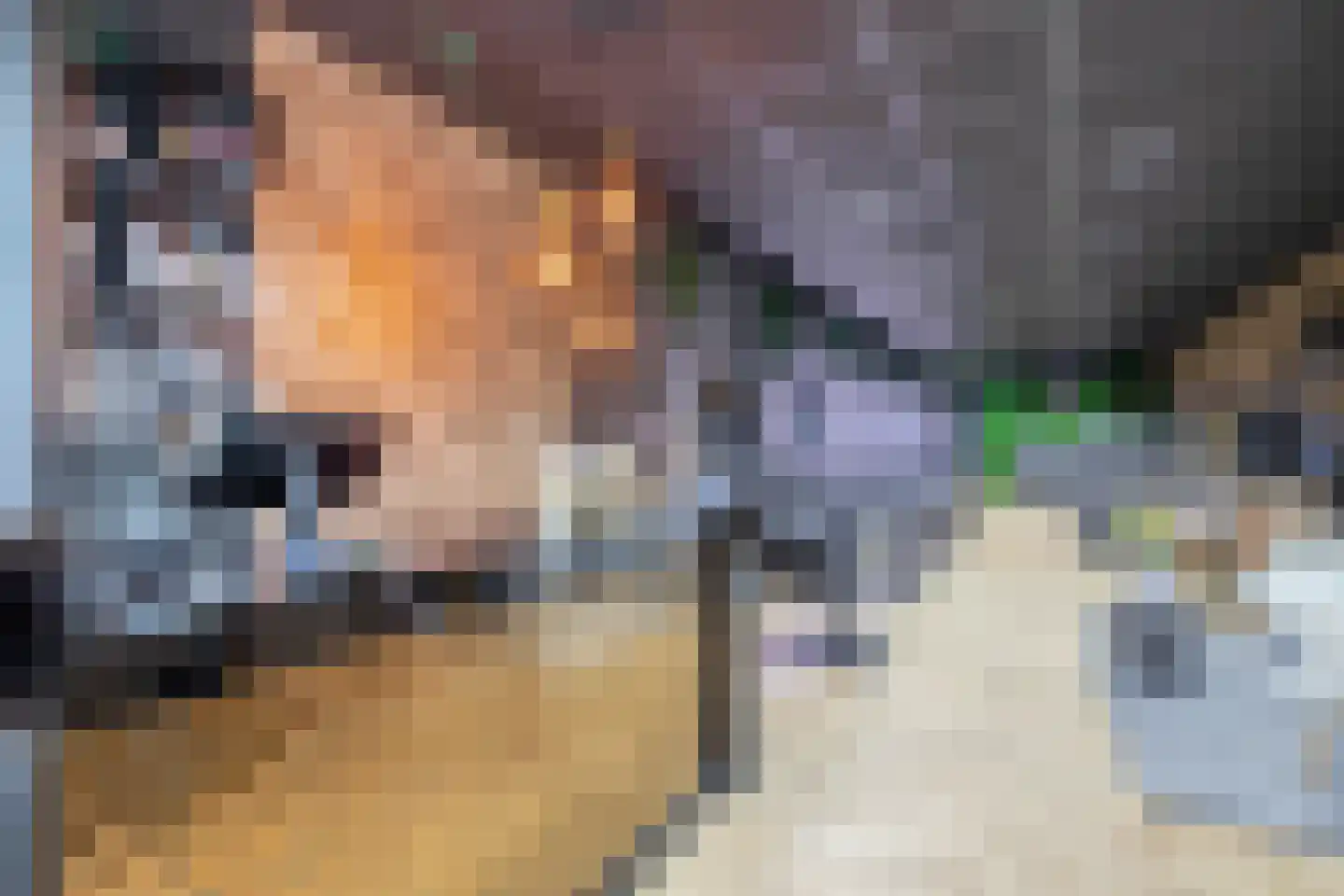 Wilhelminastraat 36 Vlagtwedde thumbnail 10
