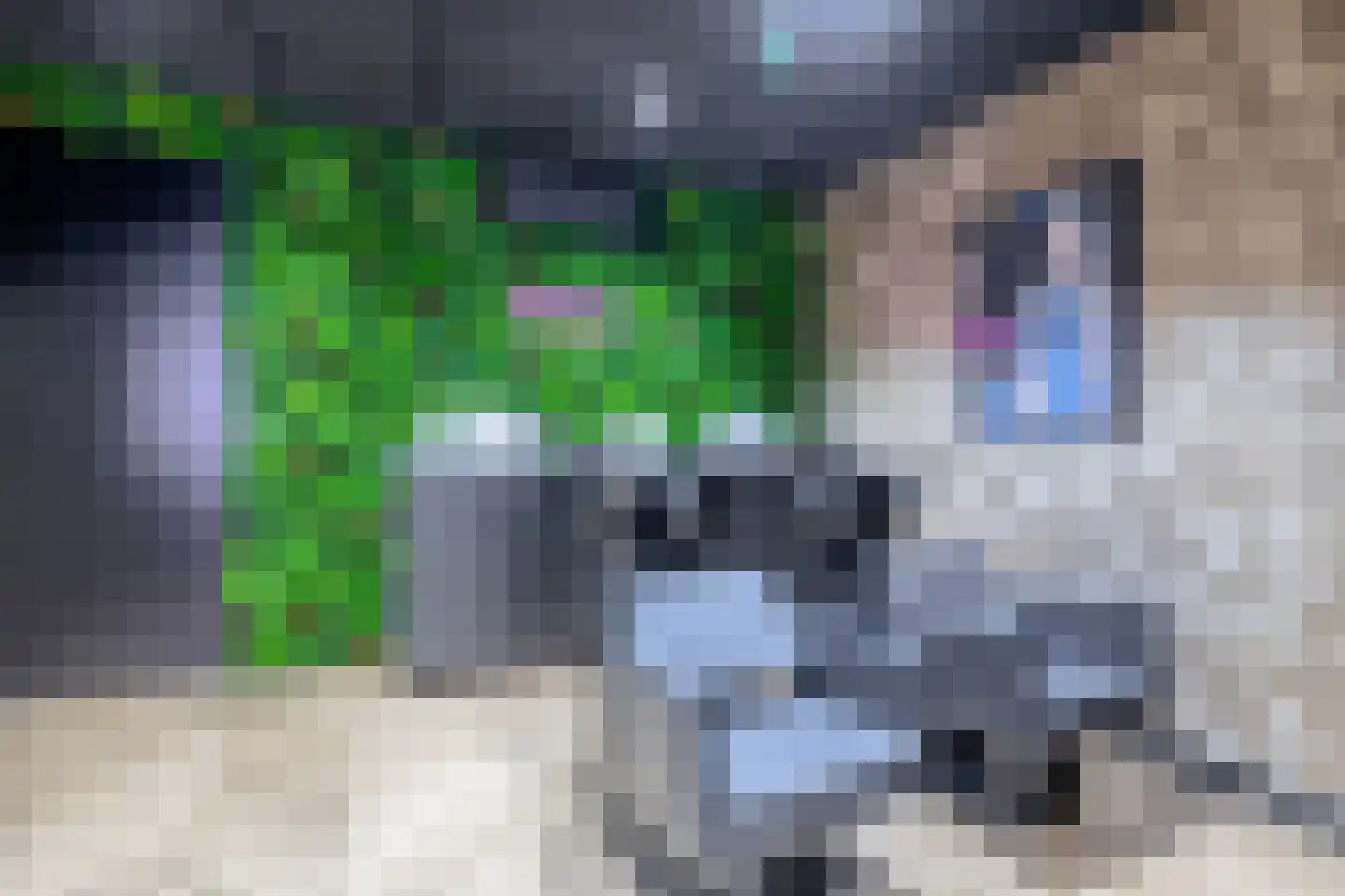 Wilhelminastraat 36 Vlagtwedde thumbnail 11