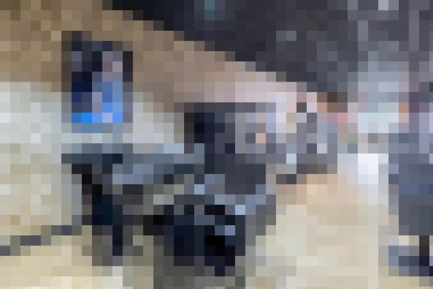 Wilhelminastraat 36 Vlagtwedde thumbnail 12