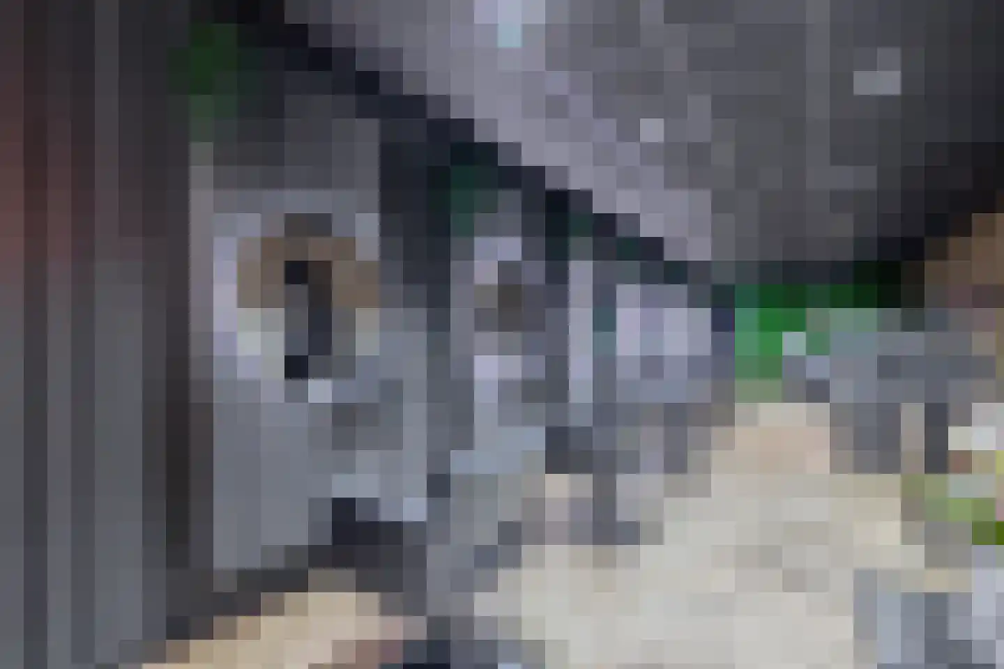 Wilhelminastraat 36 Vlagtwedde thumbnail 13