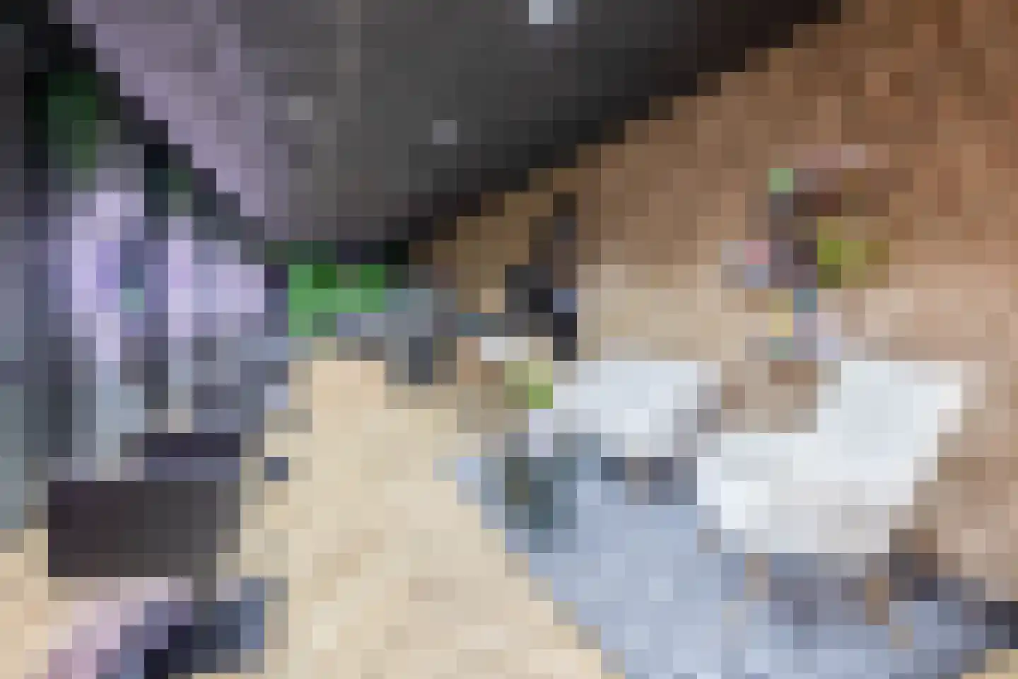 Wilhelminastraat 36 Vlagtwedde thumbnail 15