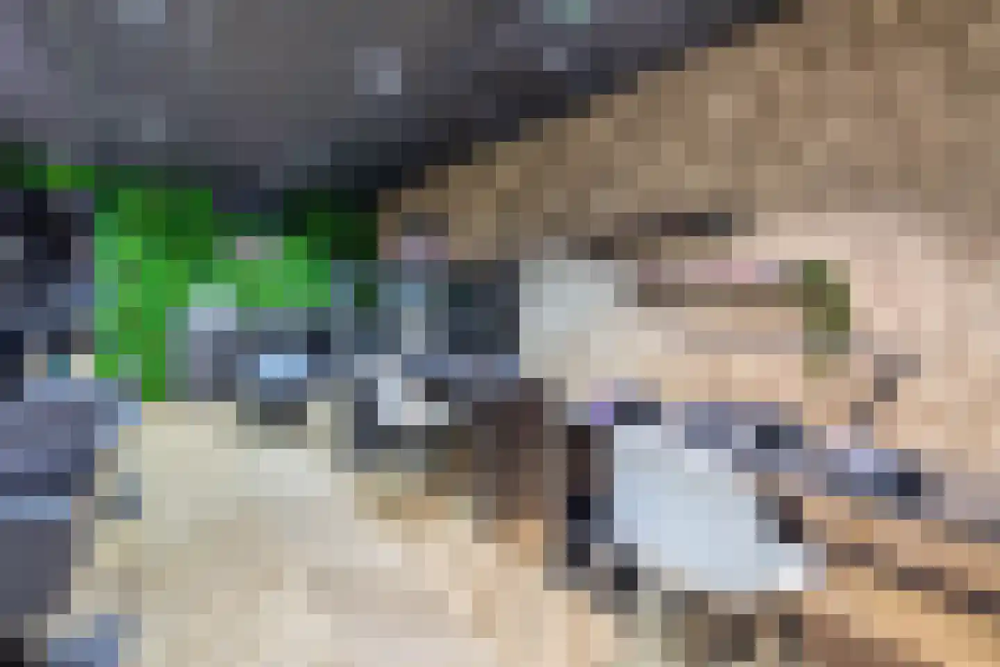 Wilhelminastraat 36 Vlagtwedde thumbnail 16